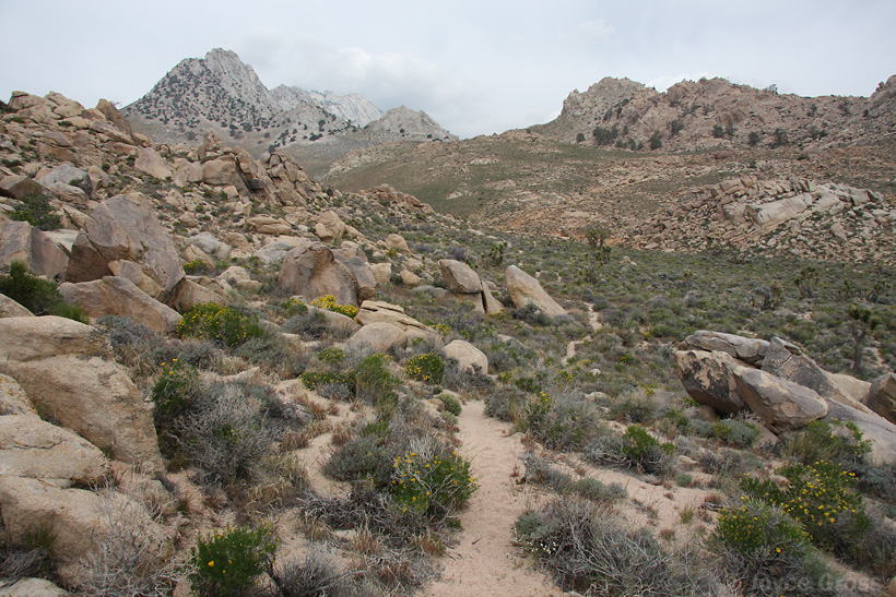 Short Canyon, Owen's Peak watershed, Sierra Nevada Mountains, California