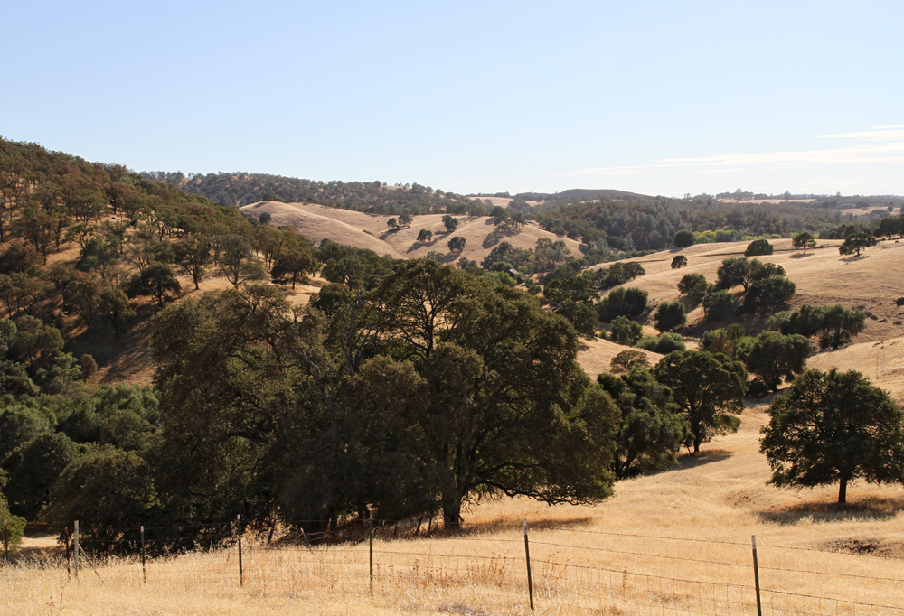 .7 miles south of Drytown along Hwy 49, California