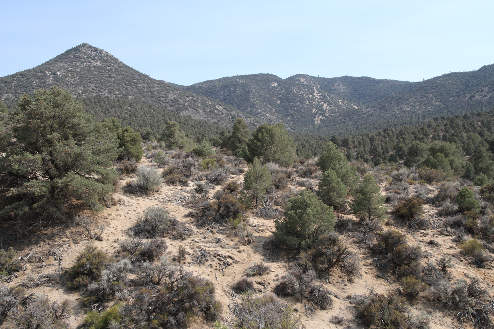 Walker Pass Campground, Walker Pass, California