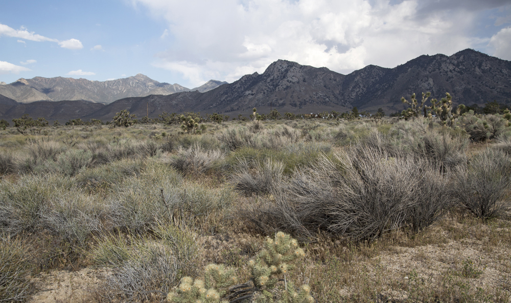Next to BLM building along Hwy 178, 8.2 miles northeast of Onyx, California
