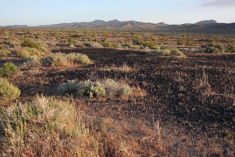 Cinder Cone Lava Beds near Kelbaker Road, Mojave National Preserve, California