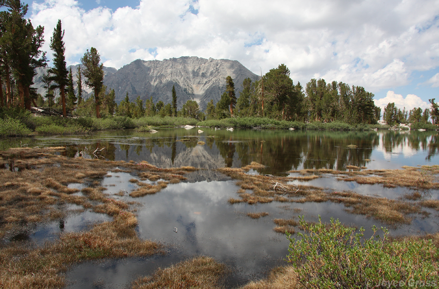 Robinson Lake, west of Independence, Inyo National Forest, California