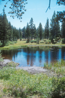 near Ebbett's Pass, Toiyabe National Forest, California