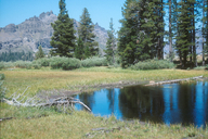 near Ebbett's Pass, Toiyabe National Forest, California