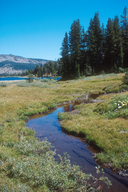 Highland Lakes, Stanislaus National Forest, California