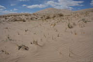 Kelso Dunes, Mojave National Preserve, California