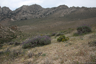 Short Canyon, Owen's Peak watershed, Sierra Nevada Mountains, California
