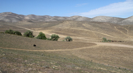 Temblor Range, from Hurricane/Crocker Springs Rd near McKittrick, California