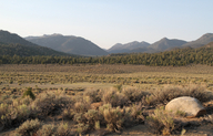 Looking north across Sacatar Valley., California