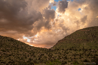 View near Bug Spring trailhead, Mt Lemmon Highway., Arizona